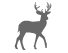 Cerf Cerf