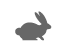 Lapin Lapin